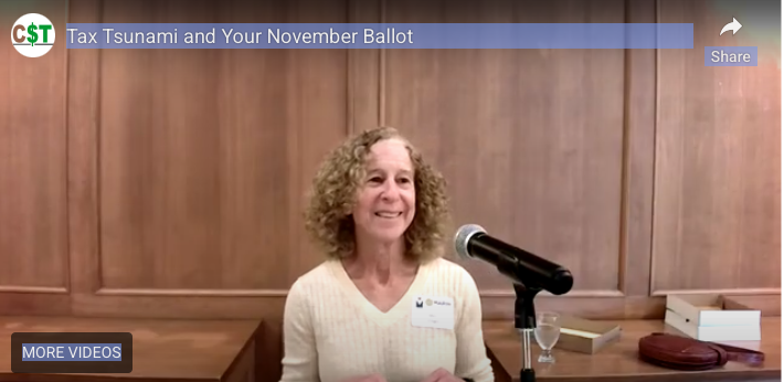 Tax Tsunami and Your November Ballot